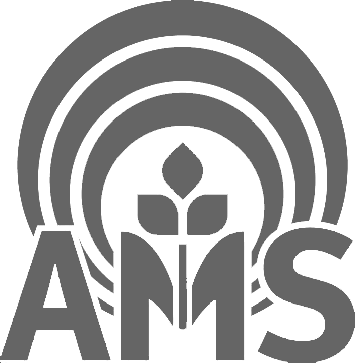 logo-ams